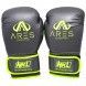 Guantes de boxeo NKL Ares (gris/verde)