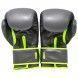 Guantes de boxeo NKL Ares (gris/verde)