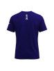 Camiseta mizuno Tee Fuji Judo (Azul)