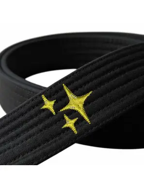 Bordado Cinturón (ESTRELLA)