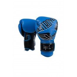 Guantes de boxeo destroyer 2.0 NKL
