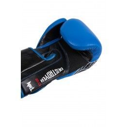 Guantes de boxeo destroyer 2.0 NKL