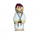Memoria usb 8 gb (artes marciales)
